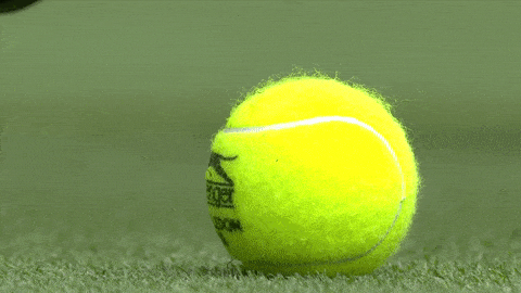 Tennis Ball Gif