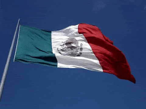 Bandera De Mexico Gif