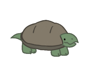Turtles GIFs - GIFcen