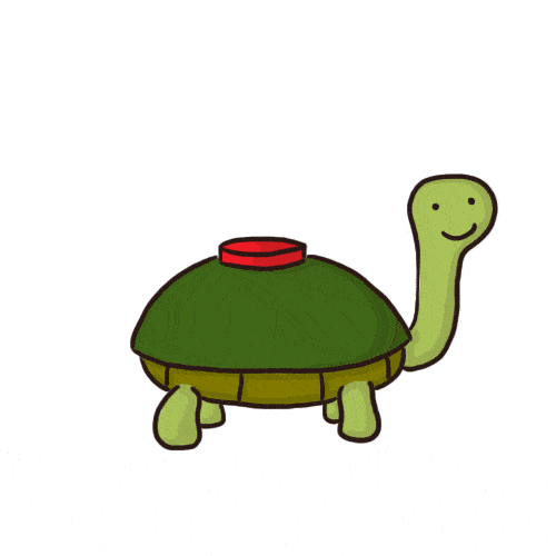 Turtle Gif. 