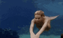 Swimming Australia Gif