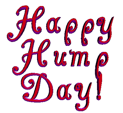 Happy Hump Day Gif
