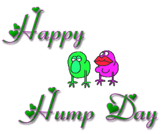Happy Hump Day Gif
