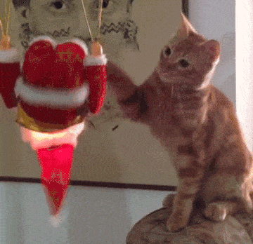 Christmas Cat Gif