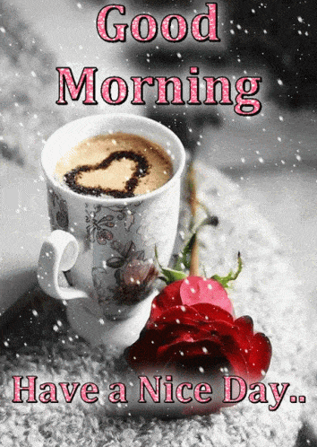 Good Morning Have A Great Day Gif