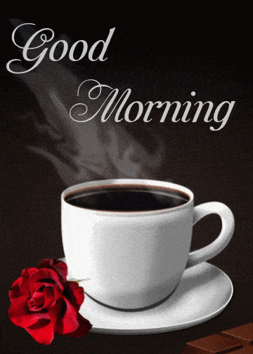Good Morning Have A Great Day Gif