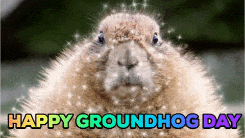 Groundhog Day Gif