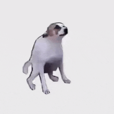 Dancing Dog Gif