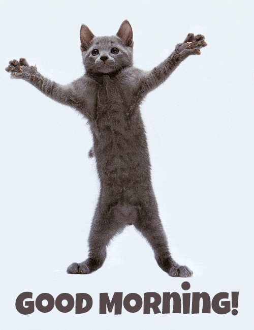 Funny Good Morning Gif GIFcen