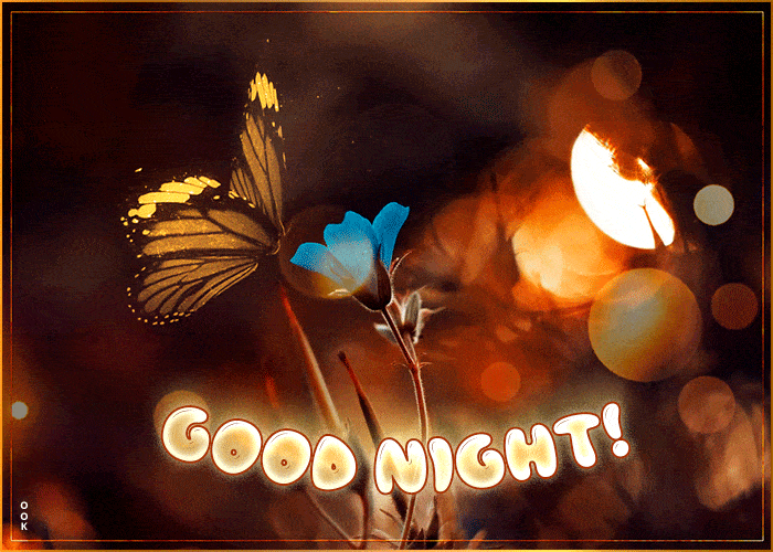 Orange Goodnight Gif At Christian Tudawali Blog