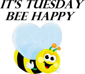Happy Tuesday Gif - GIFcen