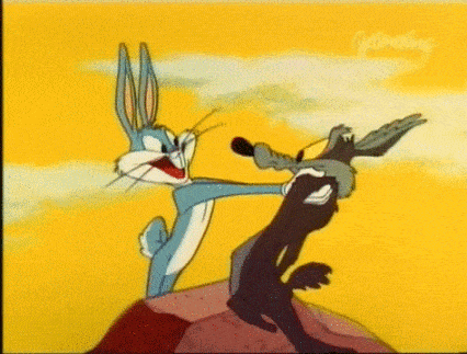 Wile E Coyote Gif