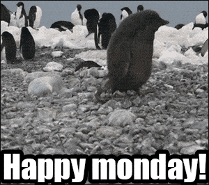 Happy Monday Gif - GIFcen