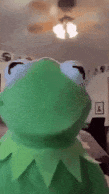 Kermit Gif - GIFcen