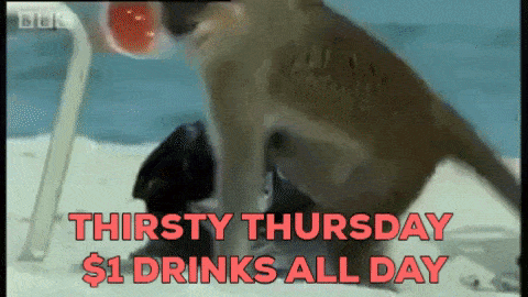 Thursday Gif