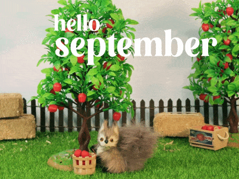 Hello September Gif