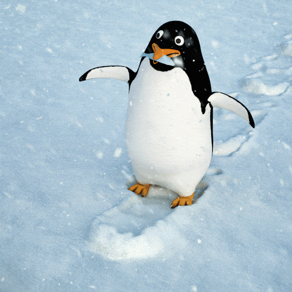 Penguin Gif