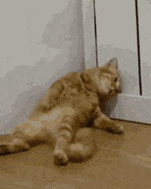 Tired Gif