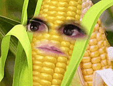 its Corn Gif