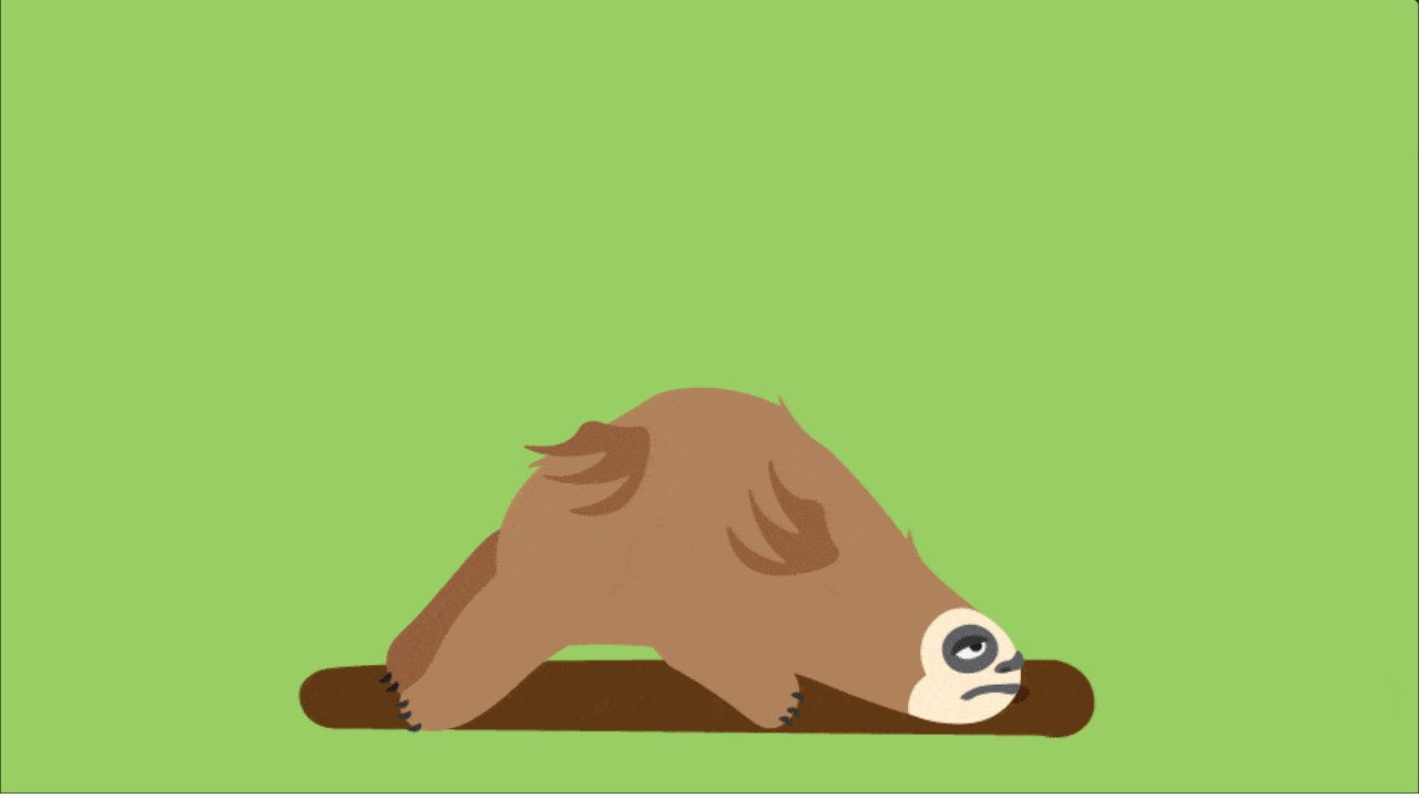 Sloth Gif