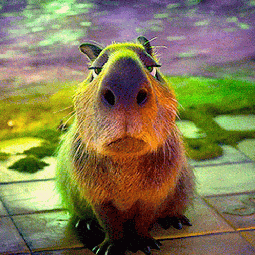 Capybara Gif
