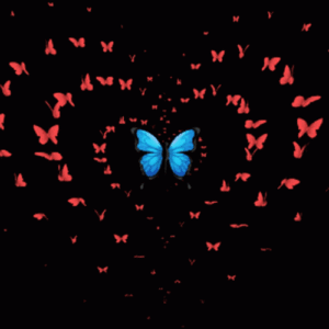 Butterfly Gif Butterfly Gif