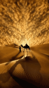 Camel Gif Camel Gif