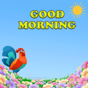Good Morning Gif Good Morning Gif