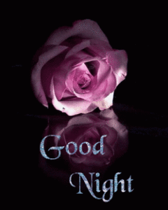 Goodnight Gif Goodnight Gif
