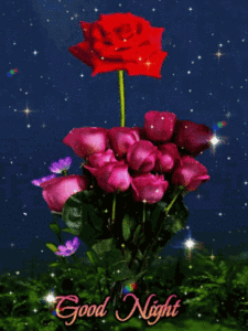 Goodnight Gif Goodnight Gif
