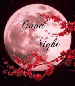Goodnight Gif Goodnight Gif
