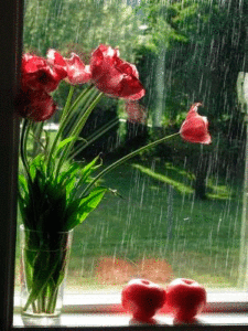 Rainy Day Gif Rainy Day Gif