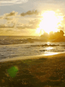 Summer Gif Summer Gif