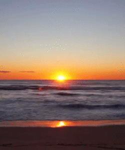 Summer Gif Summer Gif