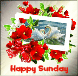 Sunday Blessing Gif Sunday Blessing Gif