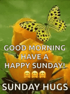 Sunday Blessing Gif Sunday Blessing Gif