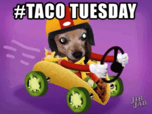 Taco Tuesday Gif Taco Tuesday Gif
