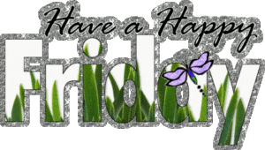 Friday Gif Friday Gif