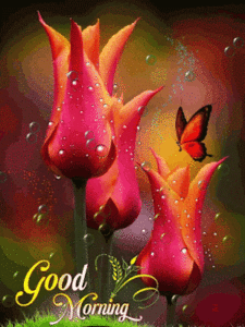 Good Morning Gif Good Morning Gif