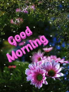 Good Morning Gif Good Morning Gif