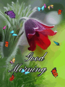 Good Morning Gif Good Morning Gif
