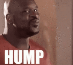 Hump Day Gif Hump Day Gif