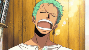Roronoa Zoro Gif Roronoa Zoro Gif