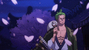 Roronoa Zoro Gif Roronoa Zoro Gif