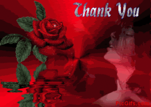 Thank You Gif Thank You Gif