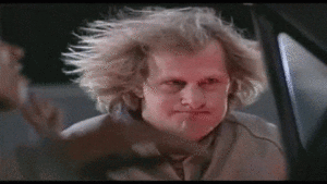 Dumb And Dumber Gif Dumb And Dumber Gif