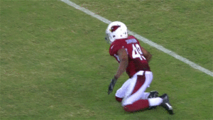 Jacoby Jones Gif Jacoby Jones Gif