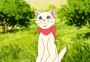 The Returns Cat Gif The Returns Cat Gif