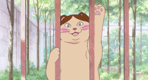 The Returns Cat Gif The Returns Cat Gif