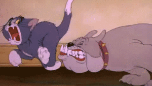 Tom And Jerry Gif Tom And Jerry Gif